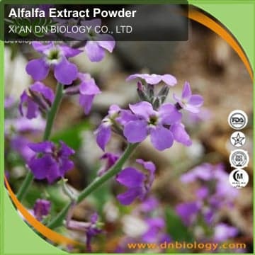 Alfalfa Extract Powder