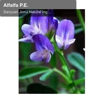 Alfalfa P.E.