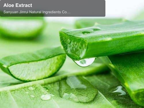 Aloe Extract