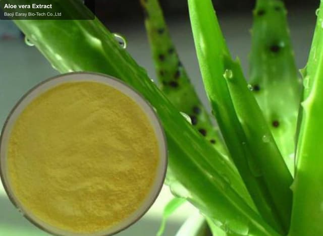 Aloe vera Extract
