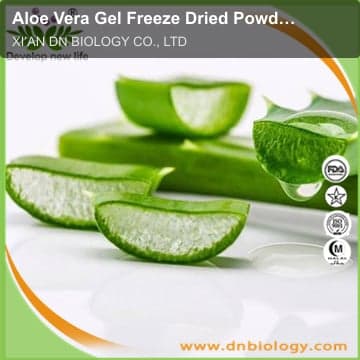 Aloe Vera Gel Freeze Dried Powder