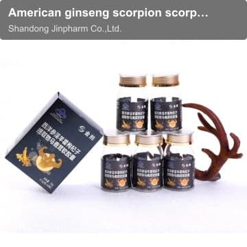 American ginseng scorpion scorpion extract hors