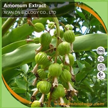Amomum Extract