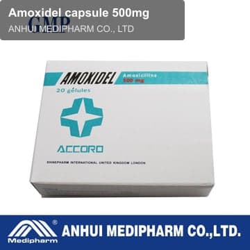Amoxidel capsule 500mg