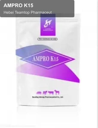 AMPRO K15
