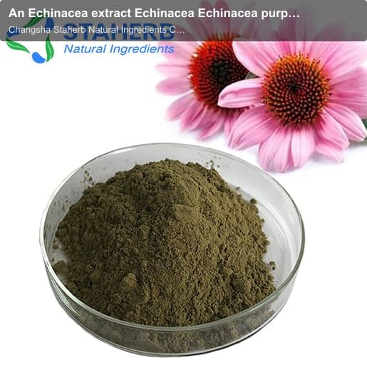 An Echinacea extract Echinacea Echinacea purpurea Echinacea pallida enzymatic echinacea purpurea ext