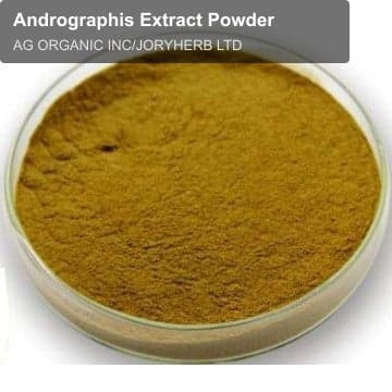Andrographis Extract Powder
