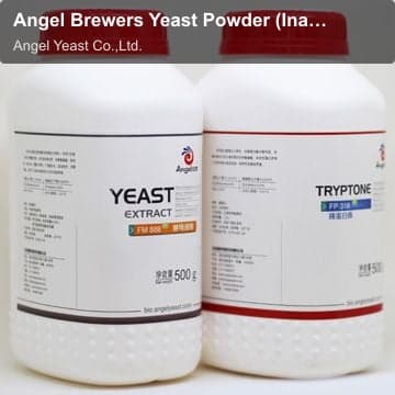 Angel Brewers Yeast Powder (Inactive Yeast)