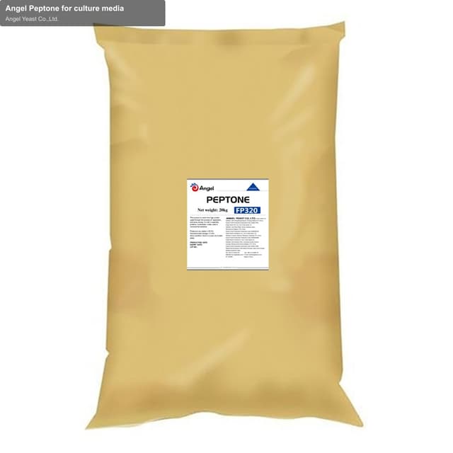 Angel Peptone for culture media