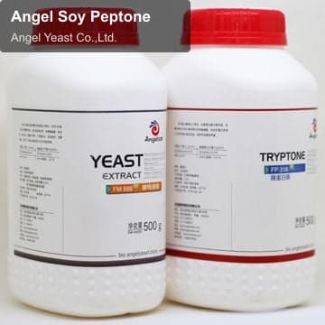Angel Soy Peptone