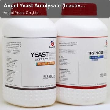 Angel Yeast Autolysate (Inactive Yeast)