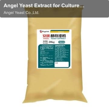Angel Yeast Extract for Culture Media