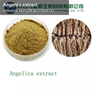 Angelica extract