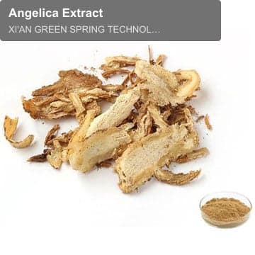 Angelica Extract