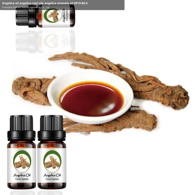Angelica oil angelica root oils angelica sinensis oil 8015-66-5