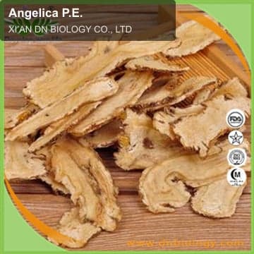 Angelica P.E.