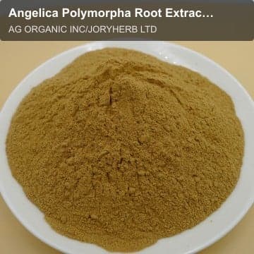 Angelica Polymorpha Root Extract Powder