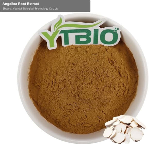 Angelica Root Extract