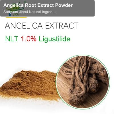 Angelica Root Extract Powder