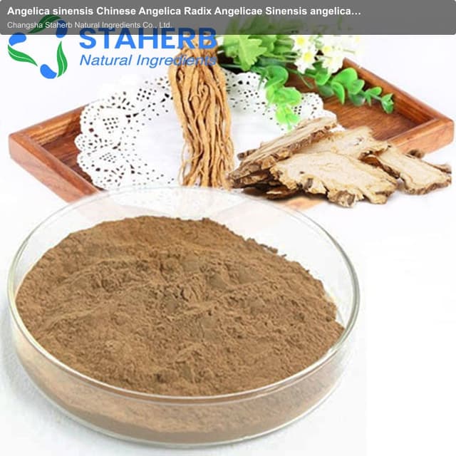 Angelica sinensis Chinese Angelica Radix Angelicae Sinensis angelica extract
