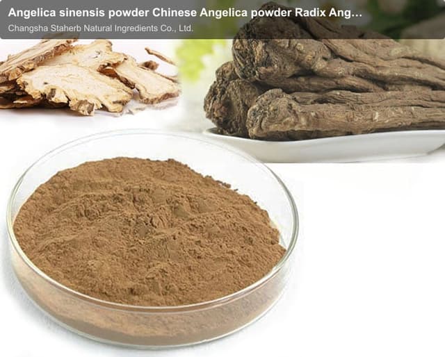 Angelica sinensis powder Chinese Angelica powder Radix Angelicae Sinensis powder angelica powder