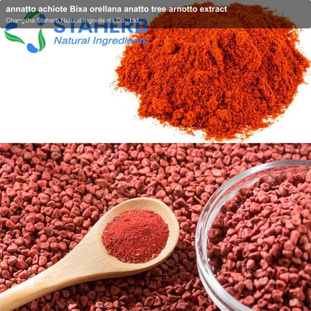 annatto achiote Bixa orellana anatto tree arnotto extract