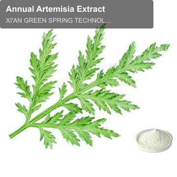 Annual Artemisia Extract