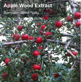Apple Wood Extract