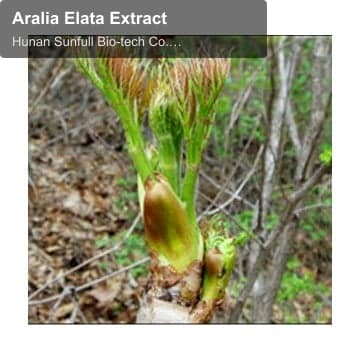 Aralia Elata Extract