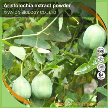 Aristolochia extract powder