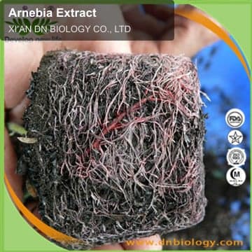 Arnebia Extract