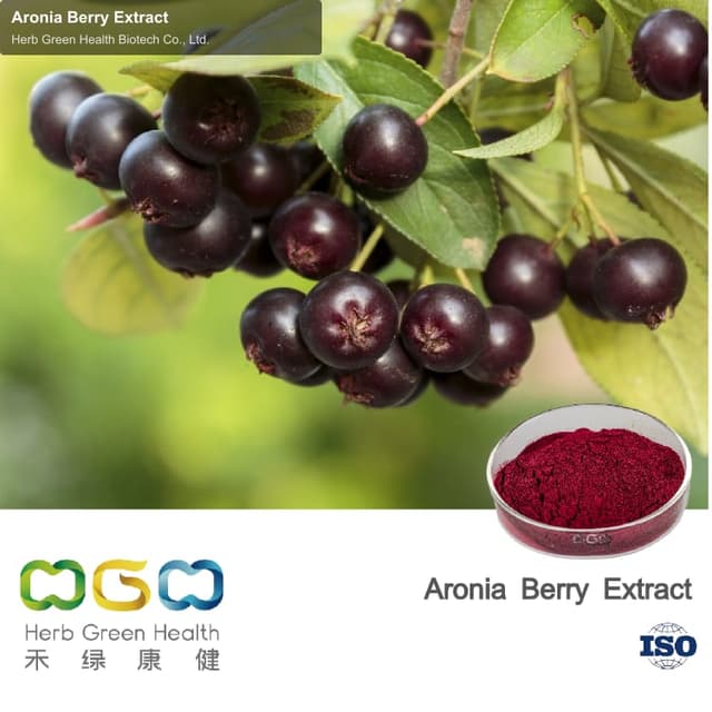 Aronia Berry Extract
