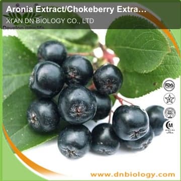 Aronia Extract/Chokeberry Extract