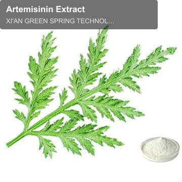 Artemisinin Extract