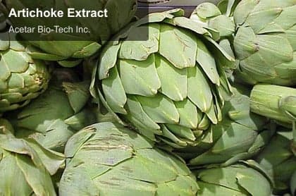 Artichoke Extract