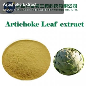 Artichoke Extract