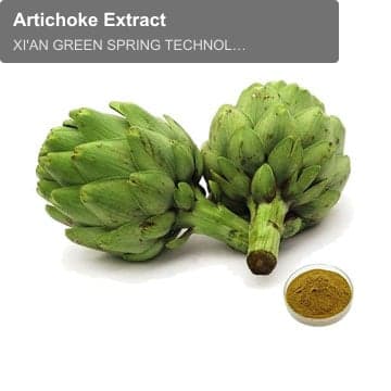 Artichoke Extract
