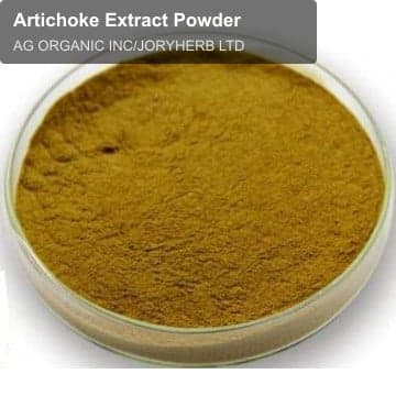 Artichoke Extract Powder