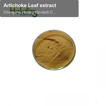 Artichoke Leaf extract