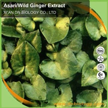 Asari/Wild Ginger Extract