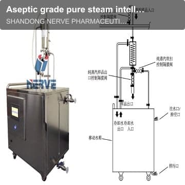 Aseptic grade pure steam intelligent sampling system NSQ5