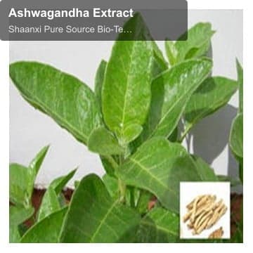 Ashwagandha Extract