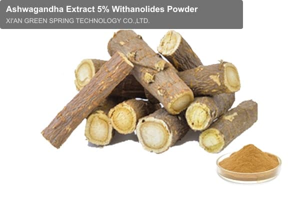 Ashwagandha Extract 5% Withanolides Powder
