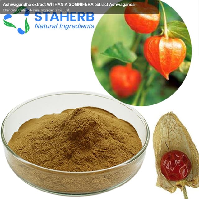 Ashwagandha extract WITHANIA SOMNIFERA extract Ashwaganda