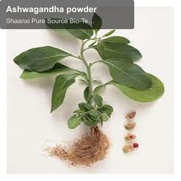 Ashwagandha powder