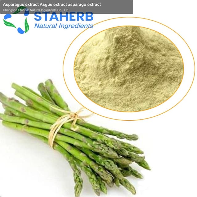 Asparagus extract Asgus extract asparago extract
