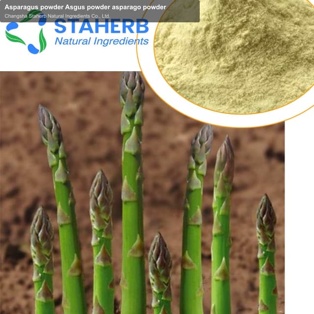 Asparagus powder Asgus powder asparago powder
