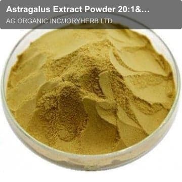 Astragalus Extract Powder 20:1&70%