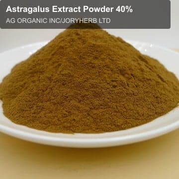 Astragalus Extract Powder 40%