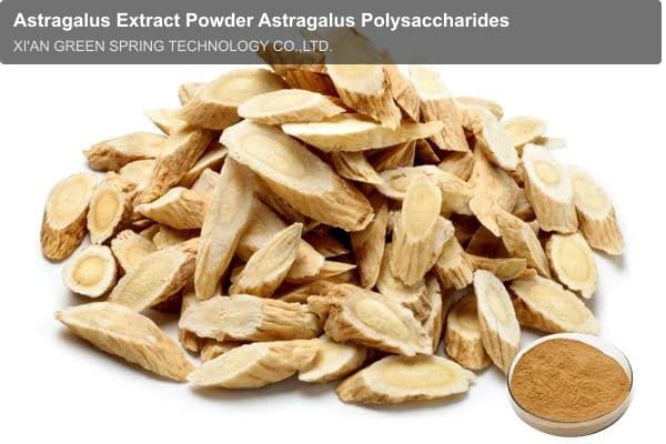 Astragalus Extract Powder Astragalus Polysaccharides